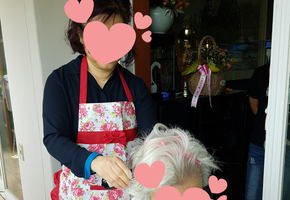 미용봉사